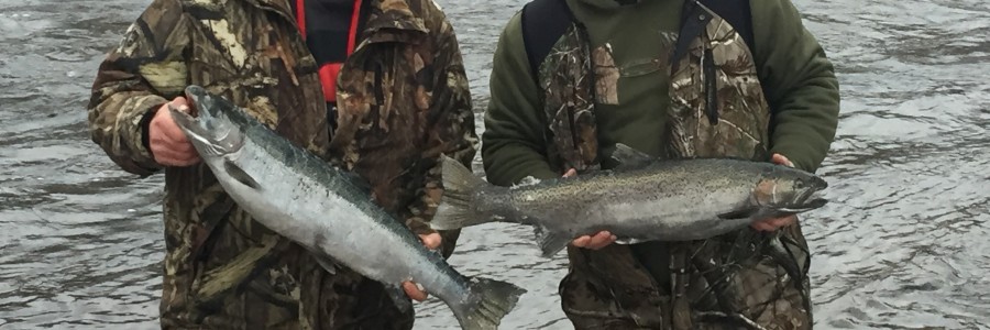1/5/16 Salmon river fishing report